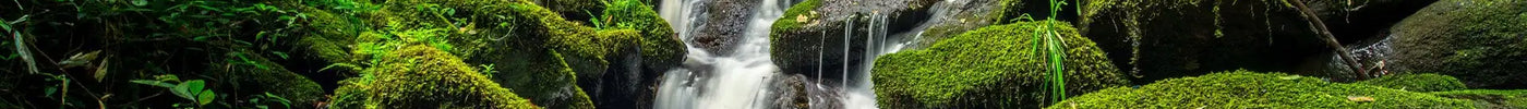 Greenscaping Dünger im Praxiseinsatz – durchdachte Pflanzpflege für Wasser- und Landbereiche