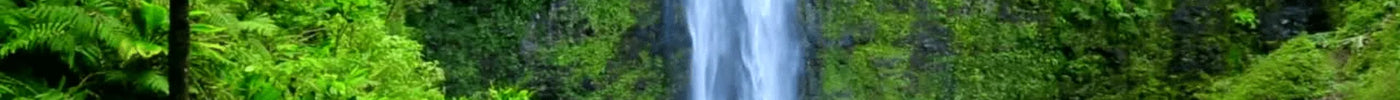 🌿 Willkommen bei AquaLifeScape – Unser Shop ist offiziell eröffnet! 🎉 - AquaLifeScape