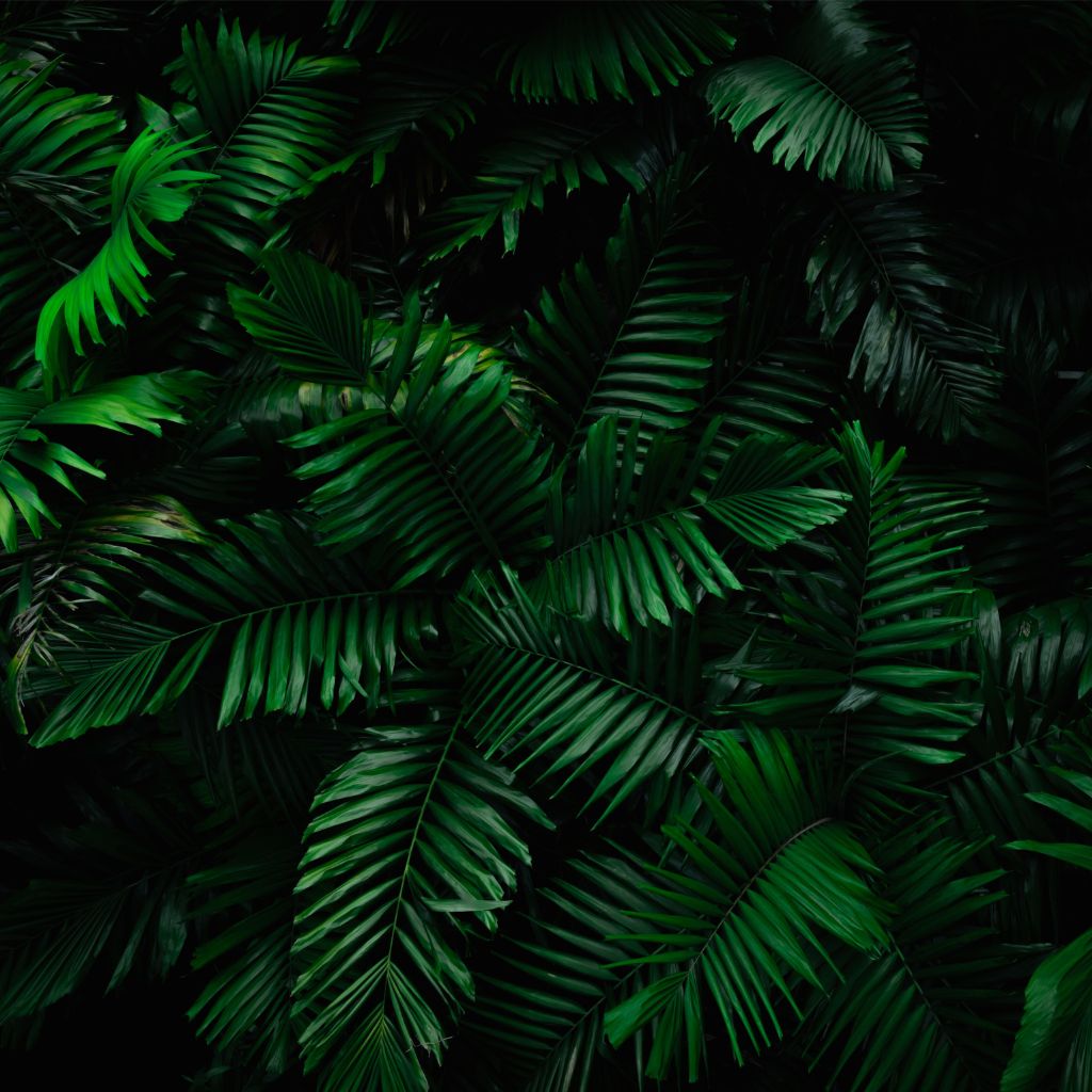 Ein Jahr AquaLifeScape – Rückblick, Sortimentserweiterung und Ausblick