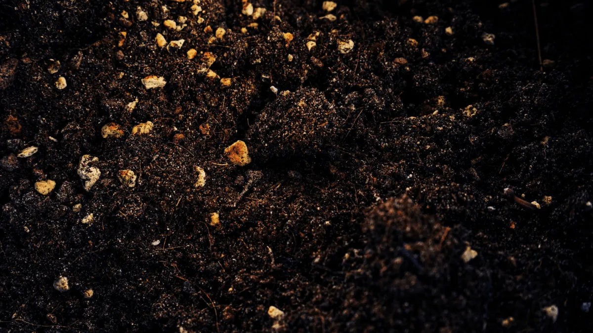 Terrarienerde richtig mischen: Unsere bewährte Rezeptur aus Flora-Torf, Perlit und Quarzsand - AquaLifeScape