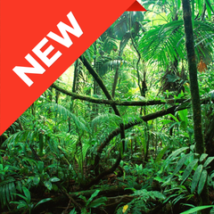 Collection image for: Neue Produkte bei AquaLifeScape