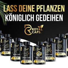 Royal Caps – Die Revolution im Pflanzendünger - AquaLifeScape
