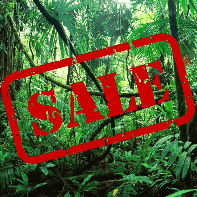 SALE Sonderangebote - AquaLifeScape