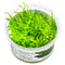 Tropica
