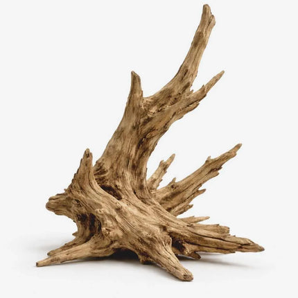 Corbo Root - Naturholz für Terrariumgestaltung