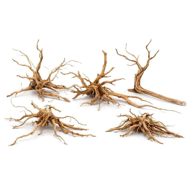 Dark Snake Wood für Aquarien & Terrarien