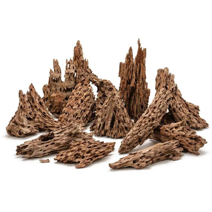 Drachenholz für Terrarium & Aquascape