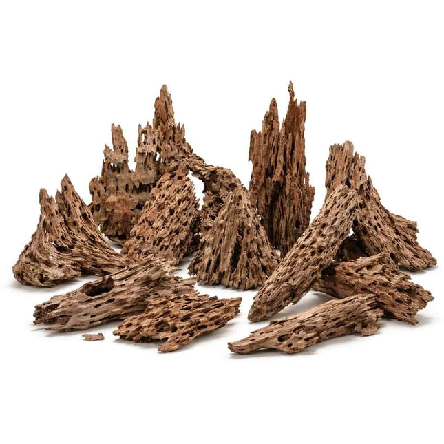 Drachenholz für Terrarium & Aquascape