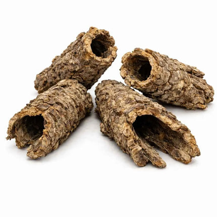 Korkröhre uncut aus Naturkork – Natürliche Terrarien- & Volierendeko