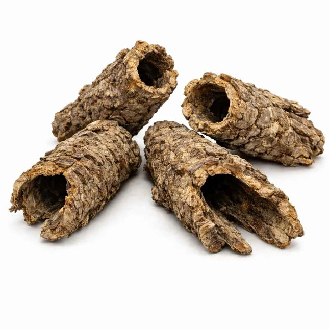 Korkröhre uncut aus Naturkork – Natürliche Terrarien- & Volierendeko