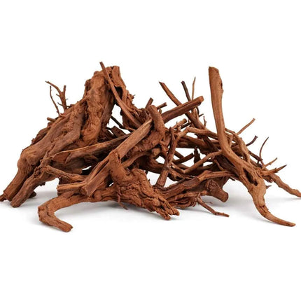 Rote Moorwurzel - Spiderwood