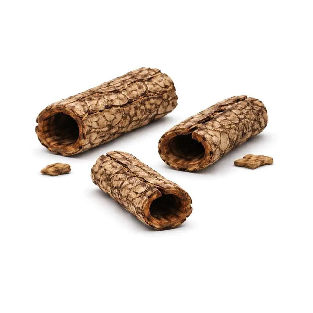 Seemandelbaum Röhre XL