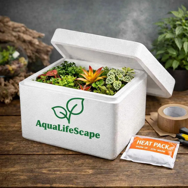 Styroporbox – Individuelle Isolierverpackung für Pflanzenversand