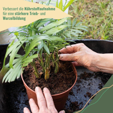 BioGro® Kokoserde gepresst im Quellbeutel 3L - AquaLifeScape