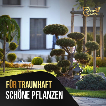 Bonsai Liebe – 365 Tage Bio-Dünger für Bonsaibäume AquaLifeScape