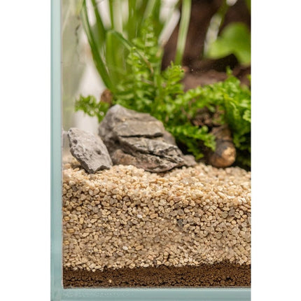 Dennerle Plants Substrate 1 Liter - AquaLifeScape