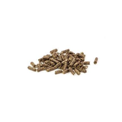 GlasGarten Humin Sticks • Care Food • - AquaLifeScape