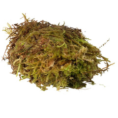HabiStat Sphagnum Moos 1000 g AquaLifeScape