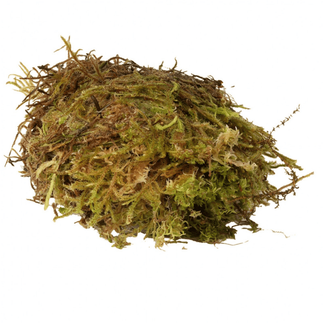 HabiStat Sphagnum Moos 1000 g - AquaLifeScape