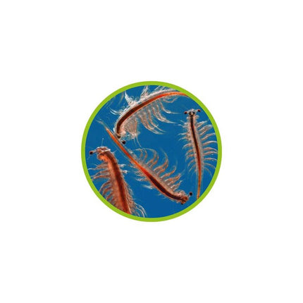Hobby Artemia Aufzuchtschale - AquaLifeScape