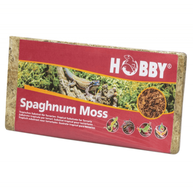 Hobby Sphagnum Moos - AquaLifeScape