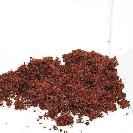 JBL TerraCoco Humus - AquaLifeScape