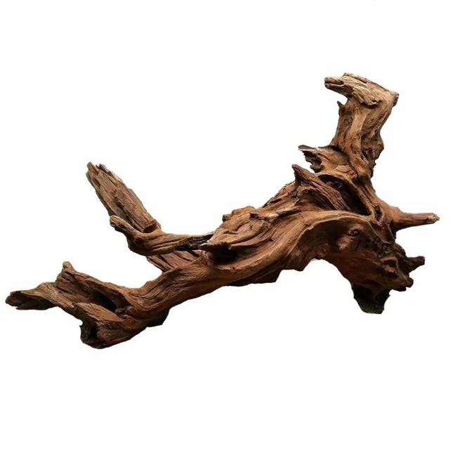 Mangroven Wurzel - AquaLifeScape