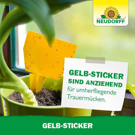 Neudorff Gelbsticker gegen kleine fliegende Schädlinge wie Trauermücken - AquaLifeScape