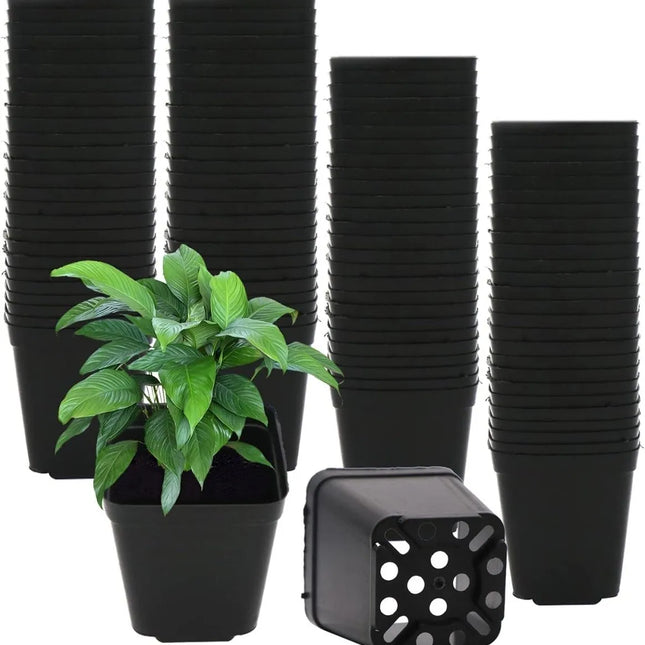 Pflanztopf 5 cm - AquaLifeScape