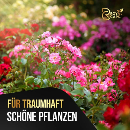 Rosen Liebe – 365 Tage Bio-Dünger für Rosenpflanzen AquaLifeScape