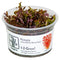 Rotala rotundifolia 'Blood Red' - Rundblättrige Rotala | In-Vitro AquaLifeScape