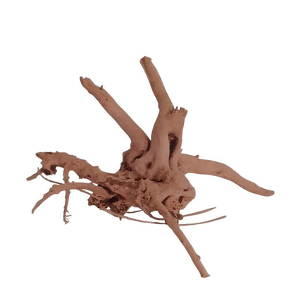 Rote Moorwurzel - Spiderwood AquaLifeScape
