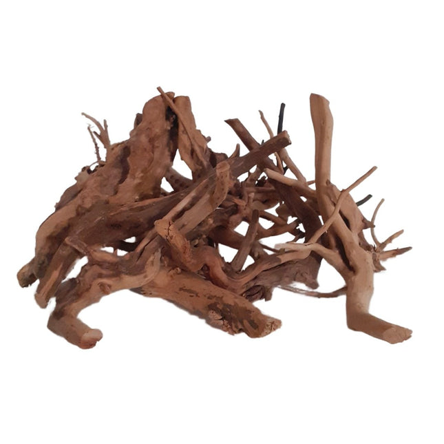 Rote Moorwurzel - Spiderwood - AquaLifeScape