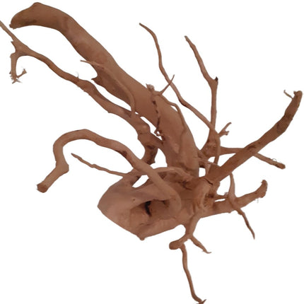 Rote Moorwurzel - Spiderwood - AquaLifeScape