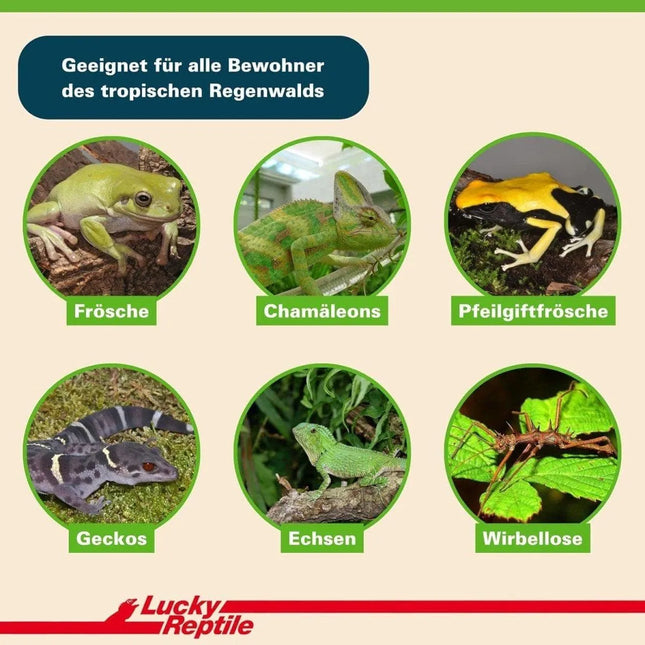 Tropen - Terrarienerde – Nährstoffarmer Bodengrund für Terrarienpflanzen (10 L) - AquaLifeScape